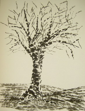 abril 27.jpg
